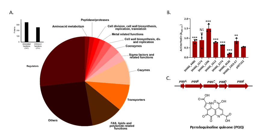 图2 597个共进化基因的分类（A）及功能表征（B、C）。（B）Coenzyme家族的基因对放线紫红素合成的作用；（C）吡咯喹啉醌（PQQ）基因簇和结构.png